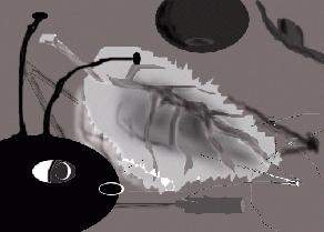 �������...