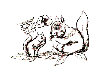 �������...